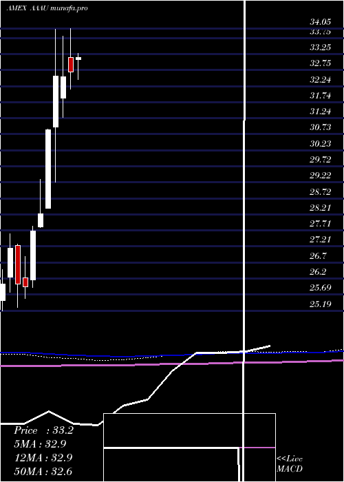  monthly chart PerthMint