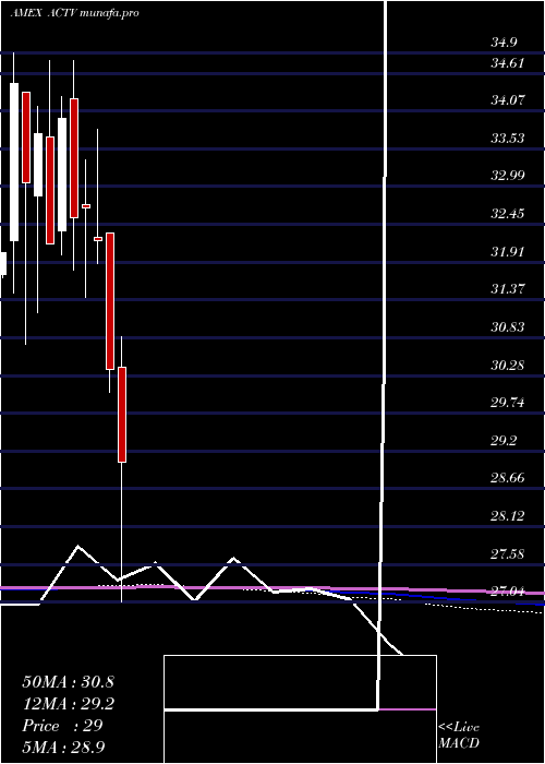  monthly chart LeadersharesActivist