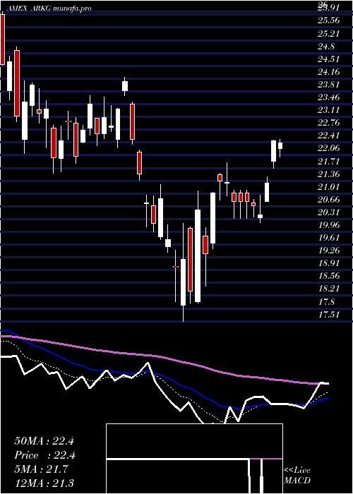  Daily chart ArkGenomic