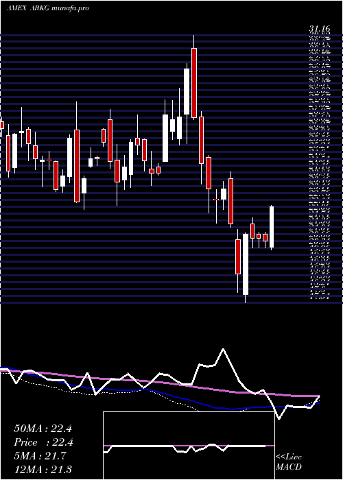  weekly chart ArkGenomic