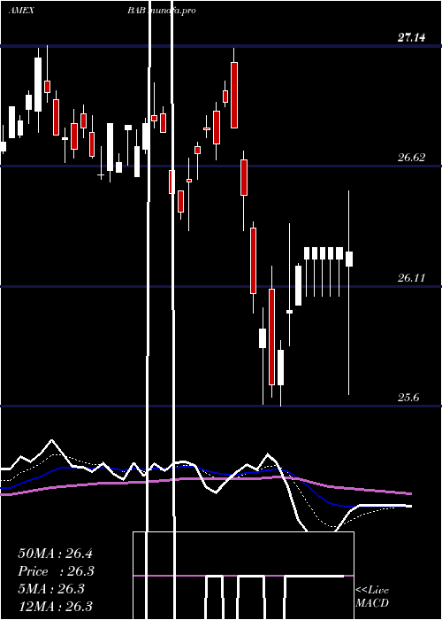  Daily chart BuildAmerica