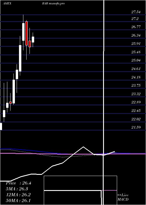  monthly chart DirexionDaily