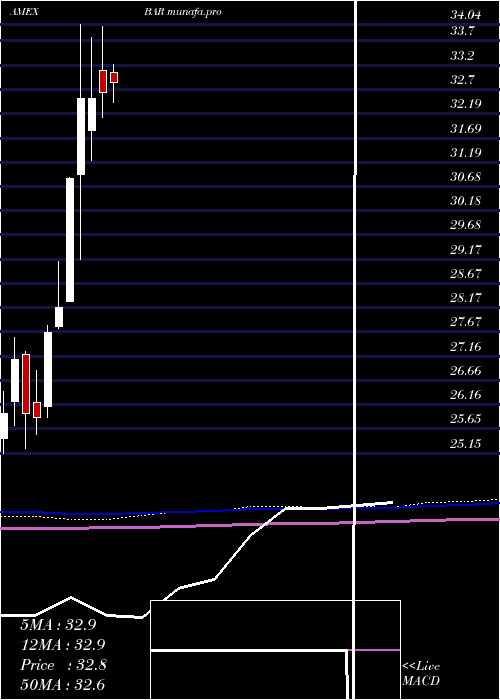 monthly chart DirexionDaily