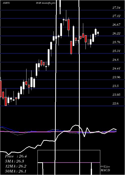  weekly chart DirexionDaily