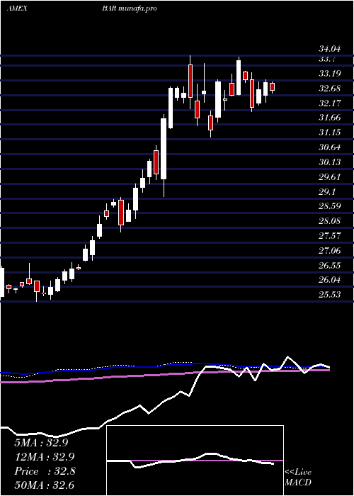 weekly chart DirexionDaily