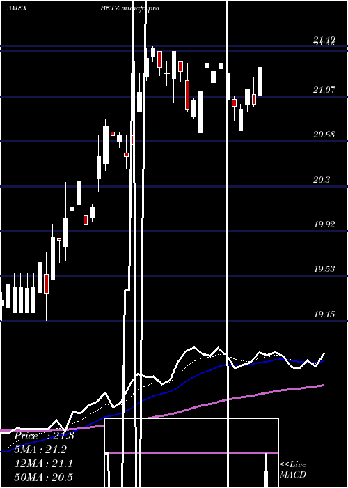 Daily chart RoundhillSports