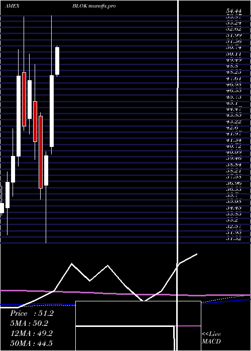 monthly chart TransformationalData