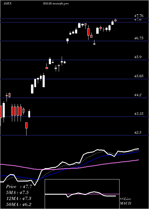 Daily chart InnovatorS