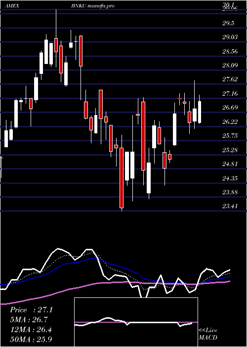  Daily chart Microsectors3x