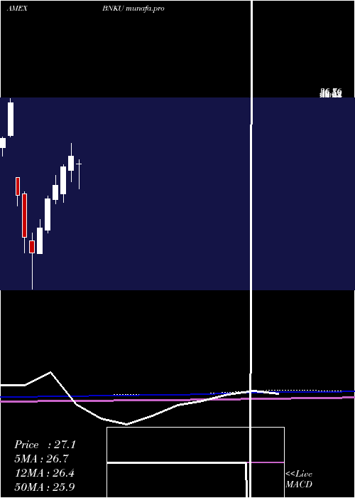  monthly chart Microsectors3x