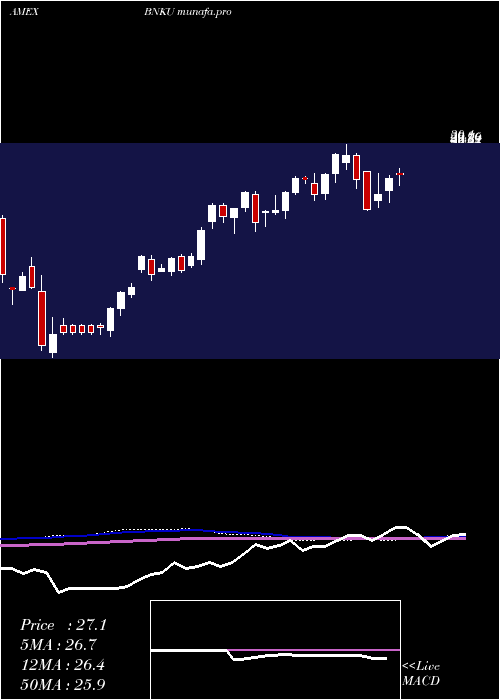  weekly chart Microsectors3x