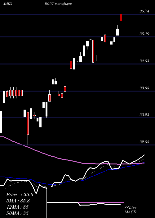 Daily chart InnovatorIbd