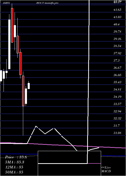 monthly chart InnovatorIbd
