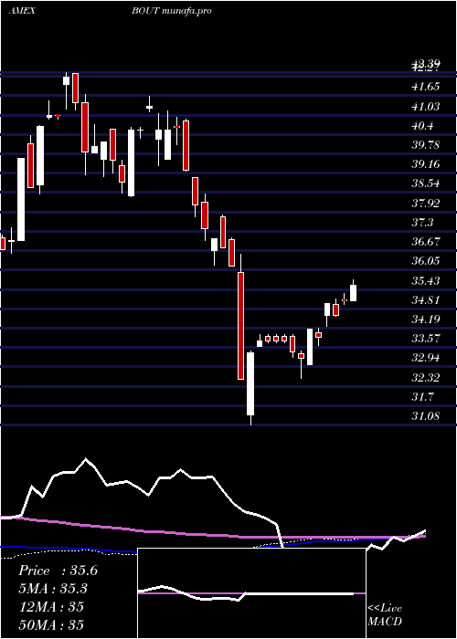 weekly chart InnovatorIbd