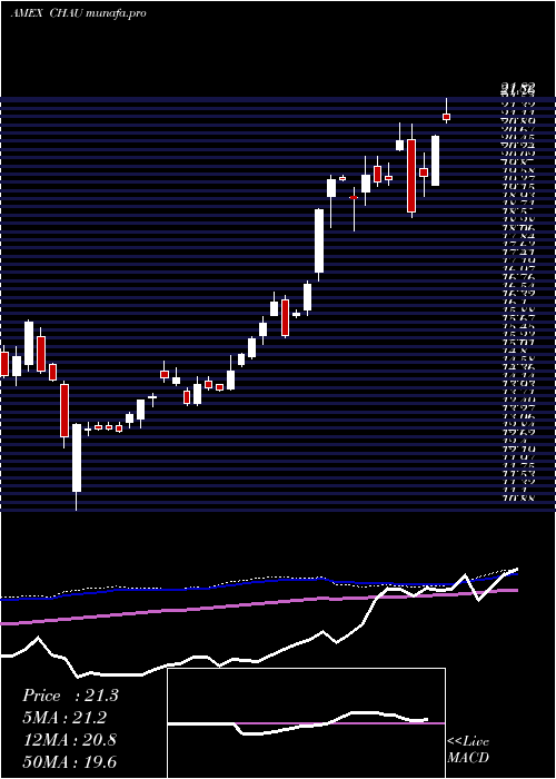 weekly chart DirexionDaily