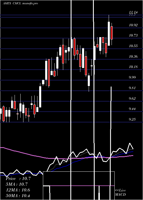  Daily chart CaledoniaMining