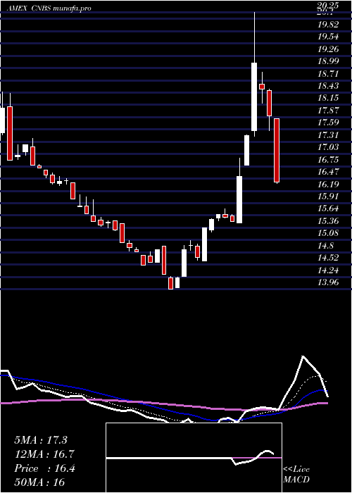 Daily chart AmplifySeymour
