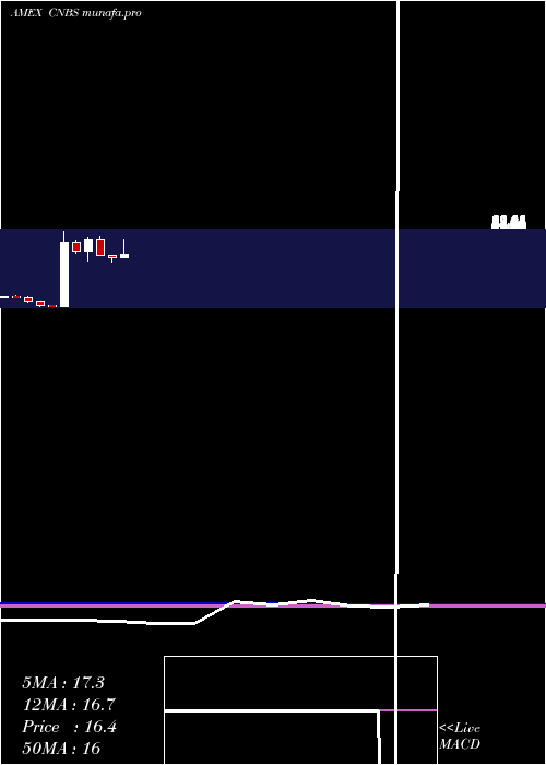 monthly chart AmplifySeymour