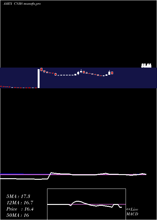 weekly chart AmplifySeymour