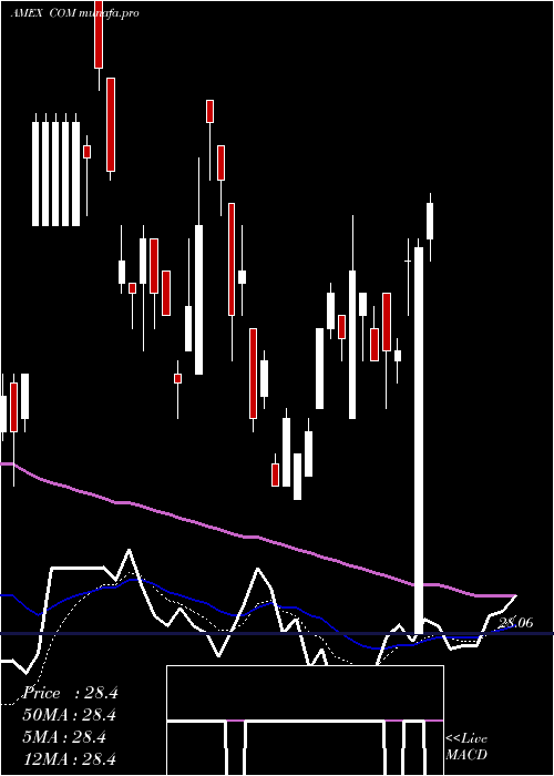 Daily chart AuspiceBroad