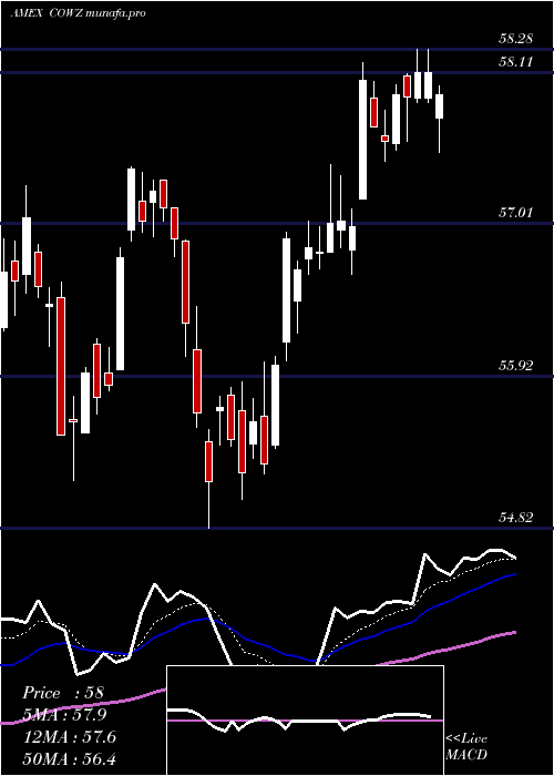 Daily chart PacerUs