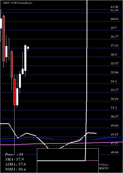  monthly chart PacerUs