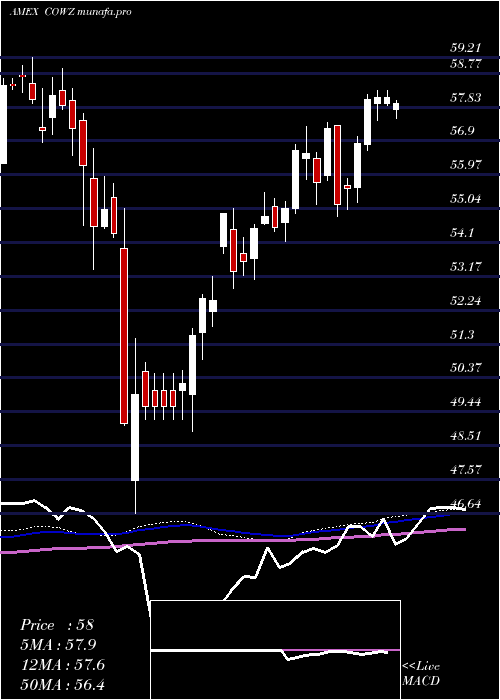  weekly chart PacerUs