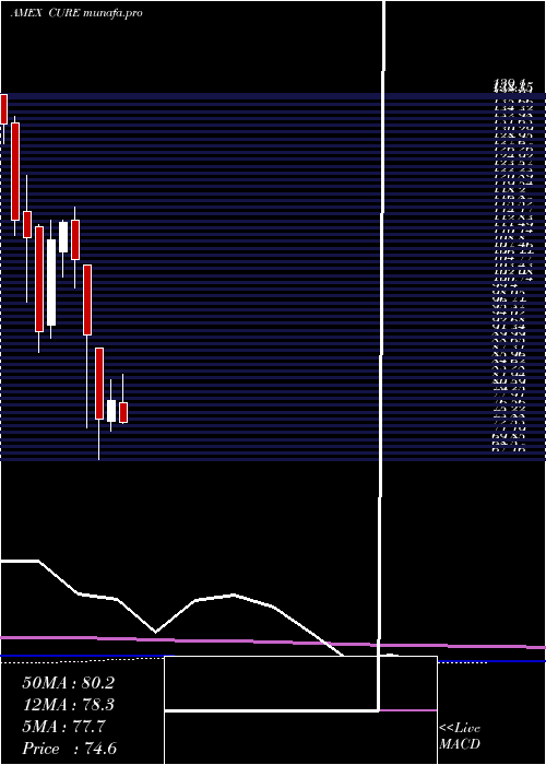 monthly chart HealthcareBull