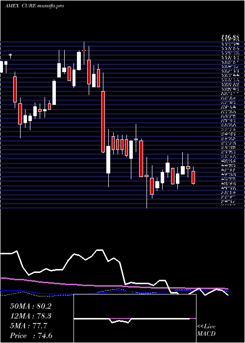 weekly chart HealthcareBull