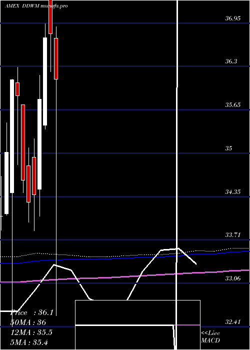  monthly chart WisdomtreeDynamic