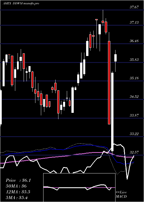  weekly chart WisdomtreeDynamic