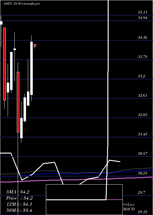  monthly chart VaneckVectors