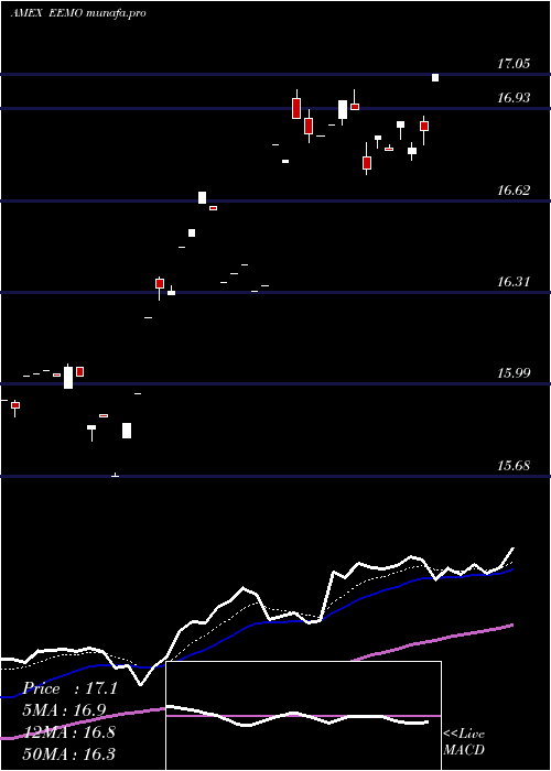 Daily chart SP