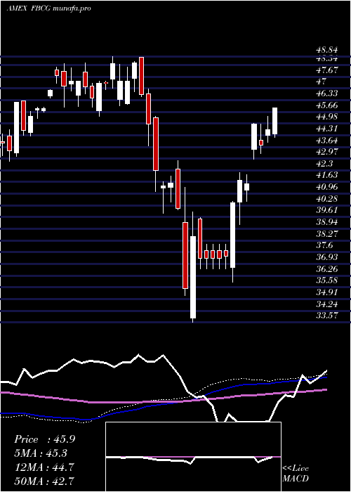 weekly chart FidelityBlue