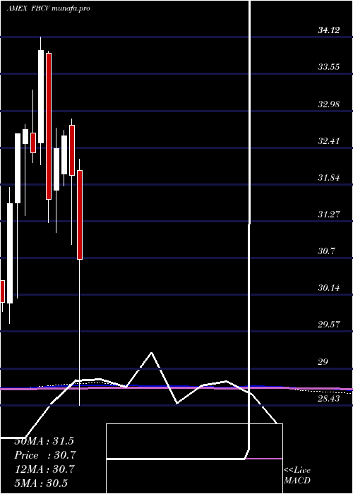  monthly chart FidelityBlue