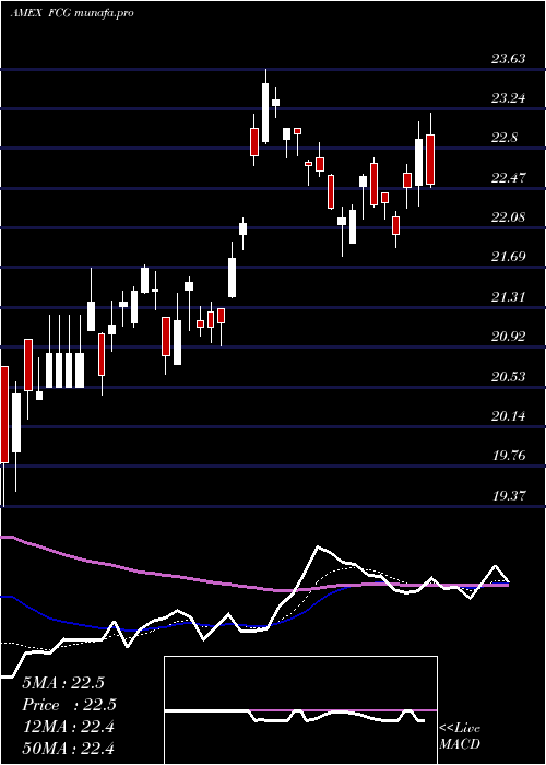 Daily chart IseRevere