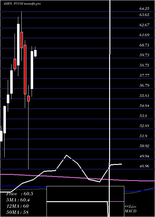 monthly chart FidelityMsci