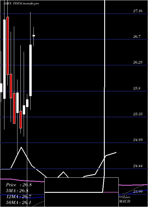 monthly chart FidelityTargeted