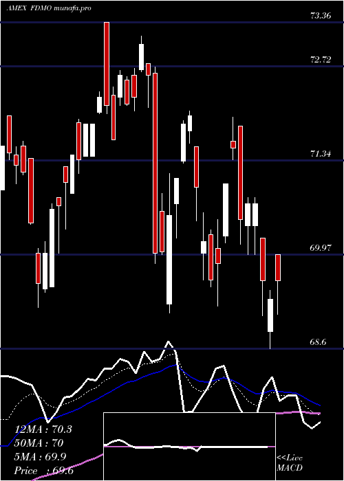  Daily chart FidelityMomentum