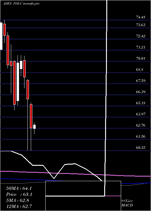 monthly chart FidelityMsci