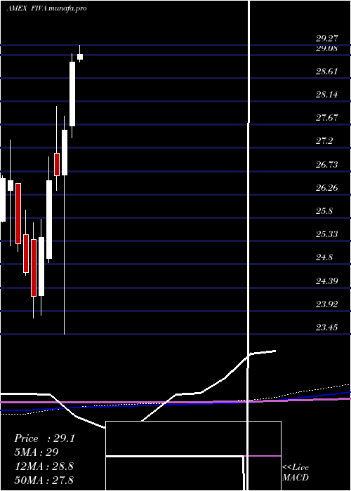 monthly chart FidelityInternational