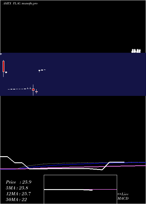 monthly chart ForensicAccounting