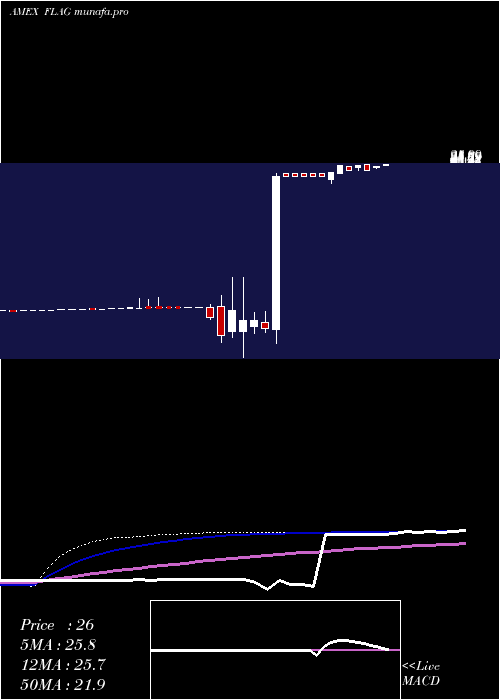 weekly chart ForensicAccounting