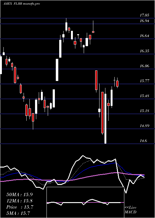  Daily chart BrazilFranklin