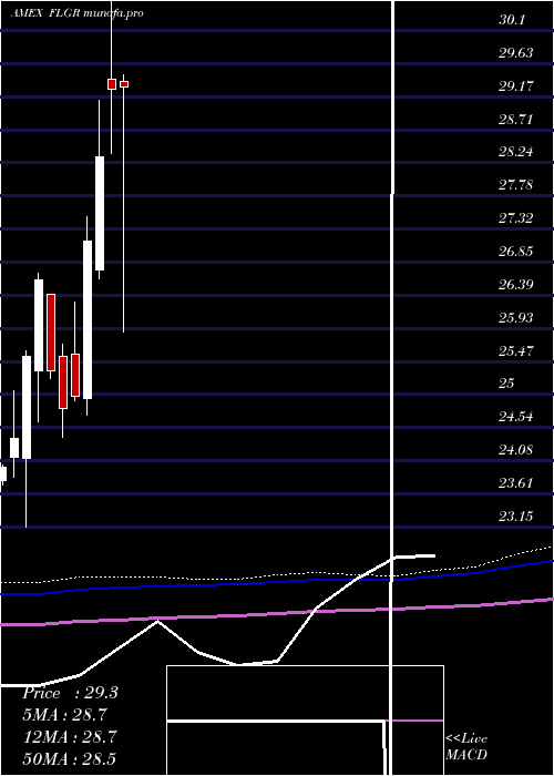  monthly chart GermanyFranklin