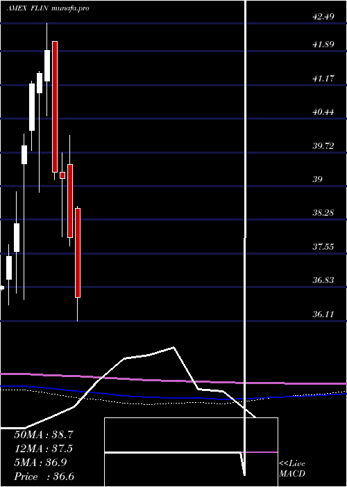  monthly chart FranklinIndia