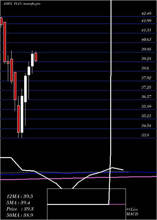 monthly chart FranklinIndia