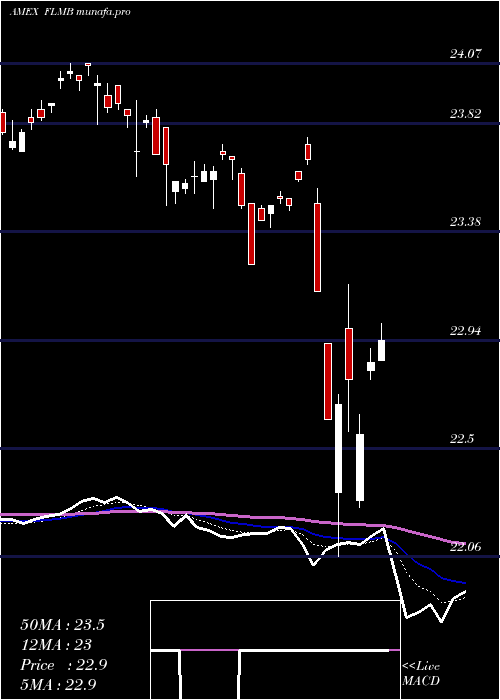  Daily chart FranklinLiberty