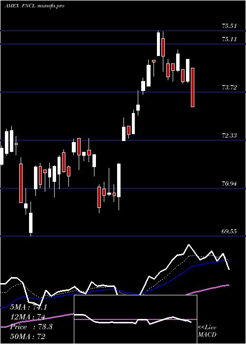 Daily chart FidelityMsci