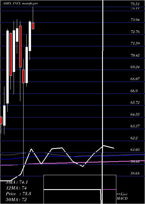 monthly chart FidelityMsci